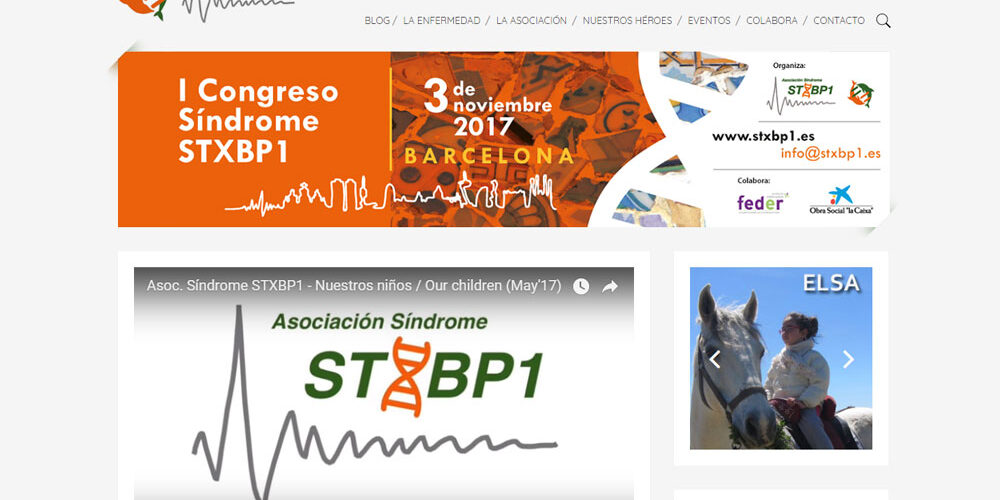 STXBP1, diseño web STXBP1, diseño web