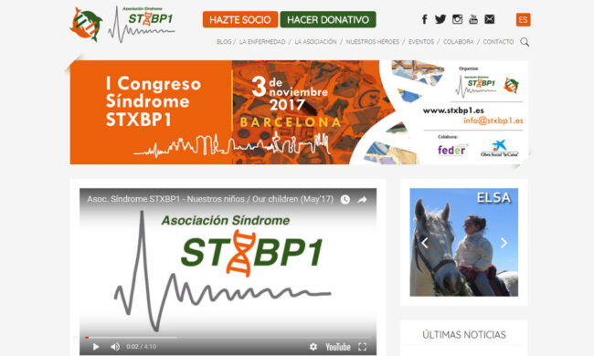 STXBP1, diseño web STXBP1, diseño web